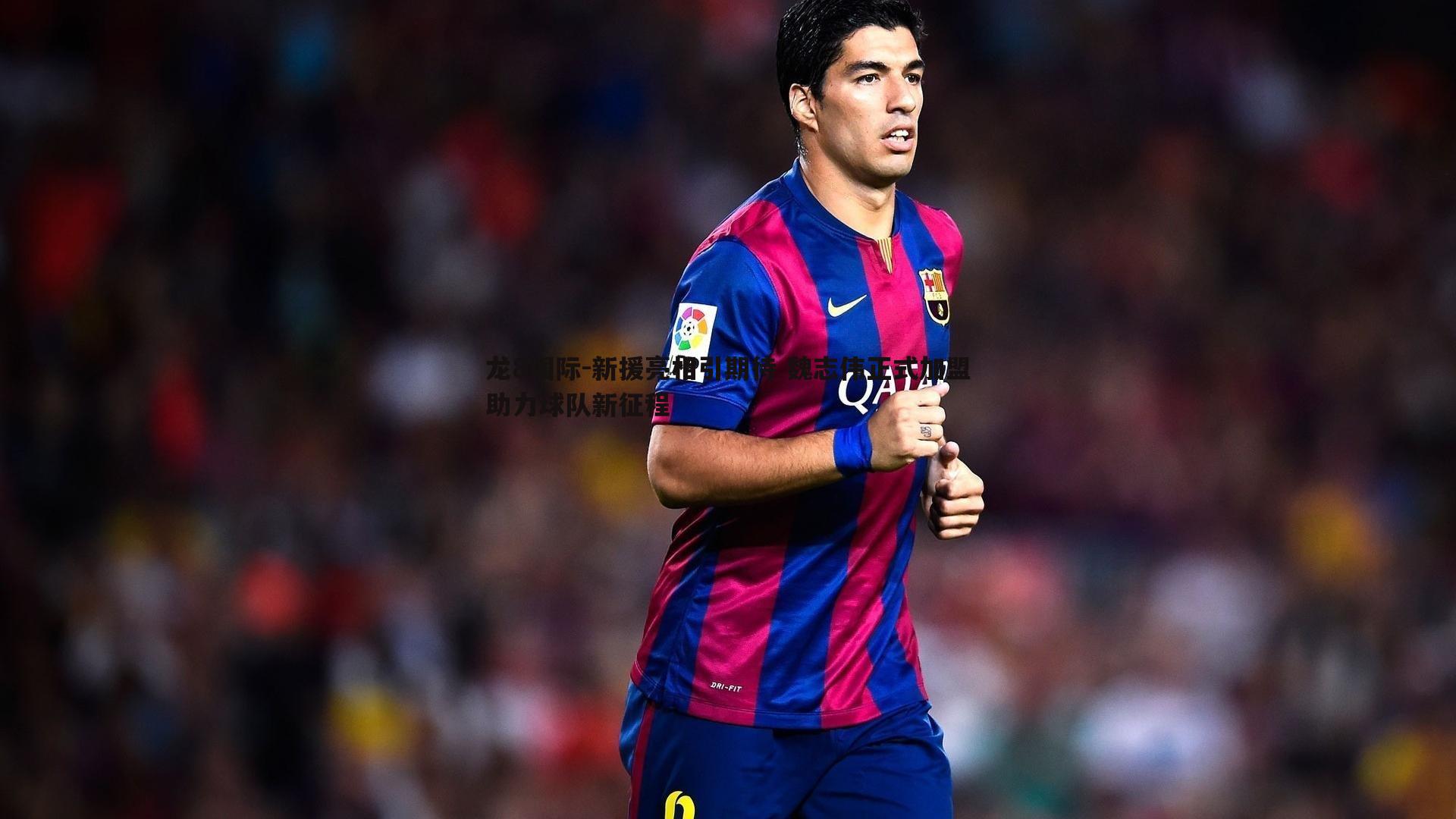 新援亮相引期待 魏志伟正式加盟助力球队新征程